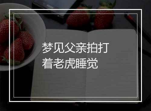 梦见父亲拍打着老虎睡觉