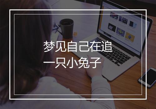 梦见自己在追一只小兔子