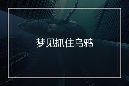 梦见抓住乌鸦