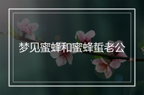 梦见蜜蜂和蜜蜂蜇老公