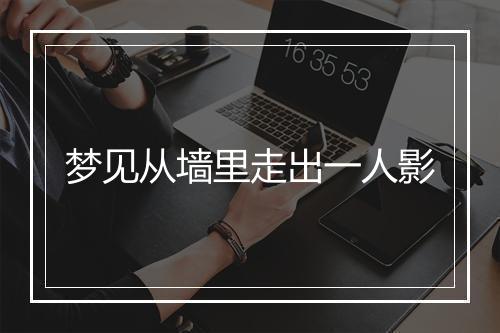 梦见从墙里走出一人影