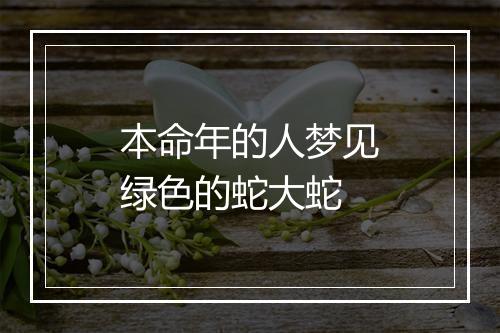 本命年的人梦见绿色的蛇大蛇