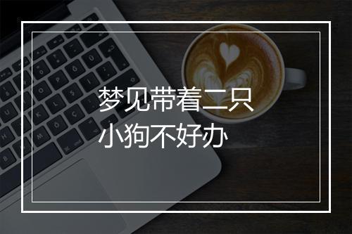 梦见带着二只小狗不好办