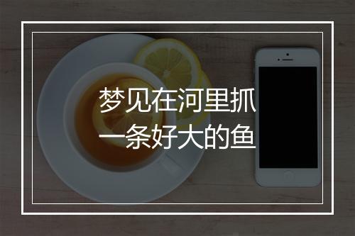 梦见在河里抓一条好大的鱼