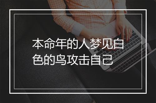 本命年的人梦见白色的鸟攻击自己