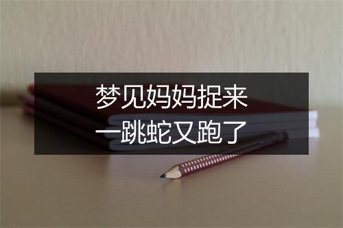 梦见妈妈捉来一跳蛇又跑了