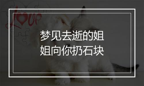 梦见去逝的姐姐向你扔石块