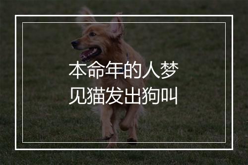 本命年的人梦见猫发出狗叫