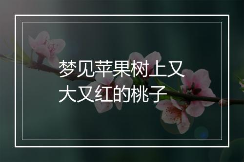 梦见苹果树上又大又红的桃子