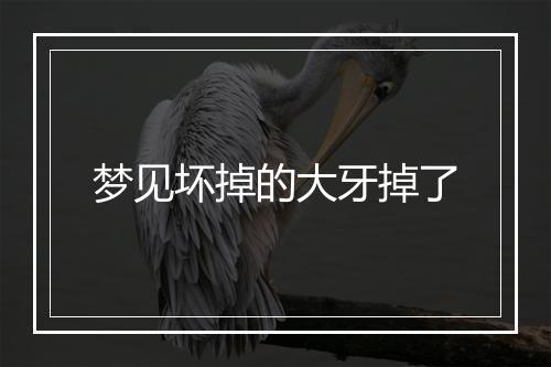 梦见坏掉的大牙掉了