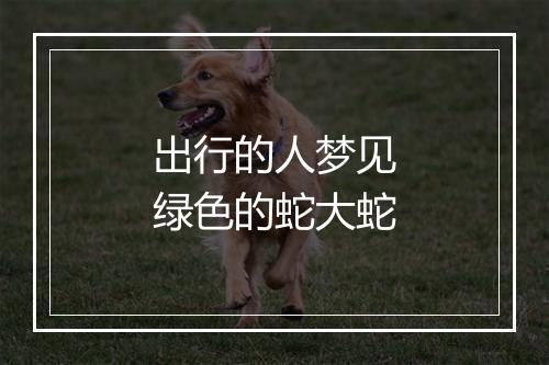 出行的人梦见绿色的蛇大蛇