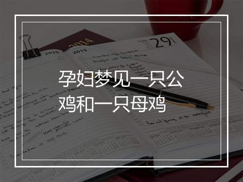 孕妇梦见一只公鸡和一只母鸡