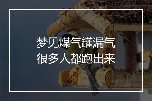 梦见煤气罐漏气很多人都跑出来