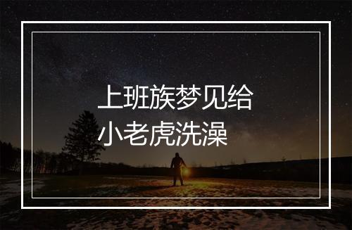 上班族梦见给小老虎洗澡