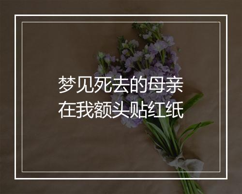 梦见死去的母亲在我额头贴红纸