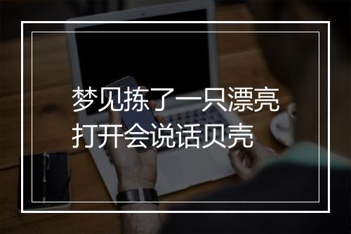 梦见拣了一只漂亮打开会说话贝壳