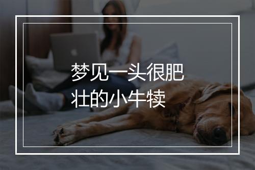 梦见一头很肥壮的小牛犊