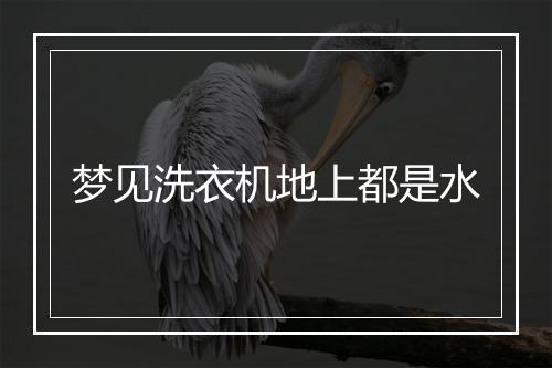 梦见洗衣机地上都是水