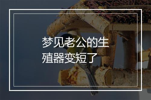 梦见老公的生殖器变短了