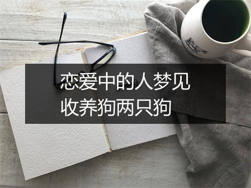 恋爱中的人梦见收养狗两只狗