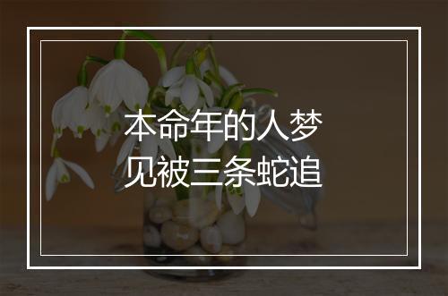 本命年的人梦见被三条蛇追