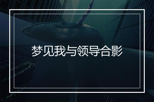 梦见我与领导合影