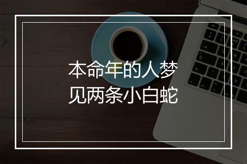 本命年的人梦见两条小白蛇