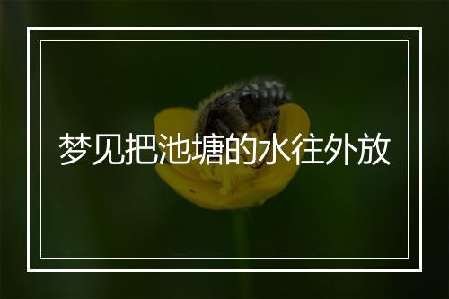 梦见把池塘的水往外放