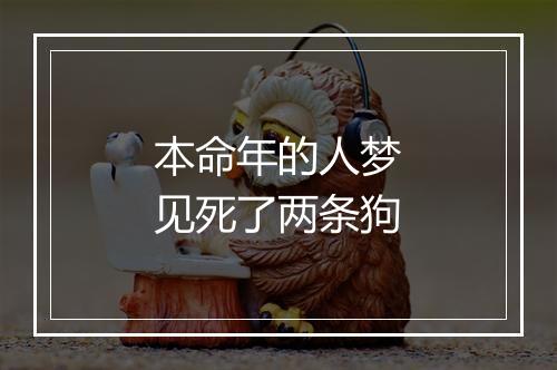 本命年的人梦见死了两条狗