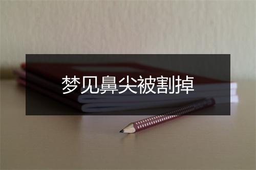 梦见鼻尖被割掉