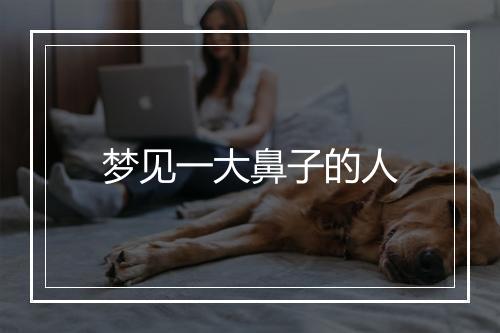 梦见一大鼻子的人