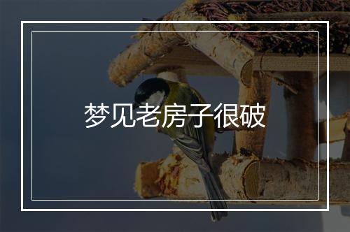 梦见老房子很破