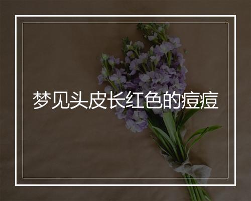 梦见头皮长红色的痘痘