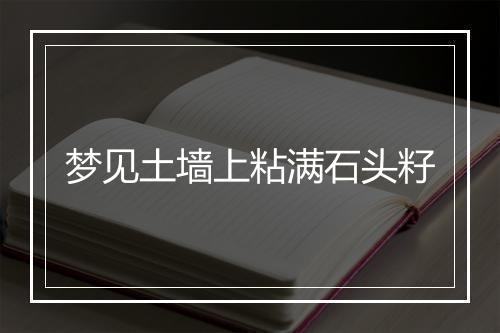 梦见土墙上粘满石头籽