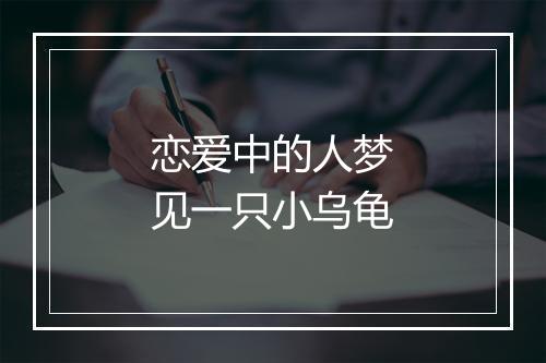 恋爱中的人梦见一只小乌龟