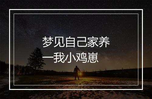 梦见自己家养一我小鸡崽