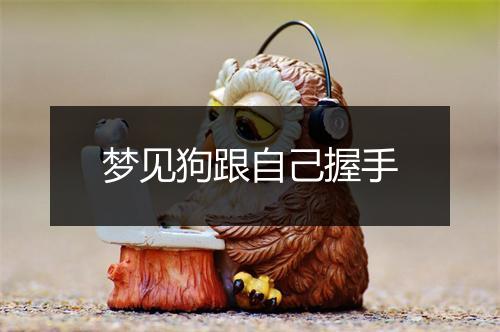 梦见狗跟自己握手