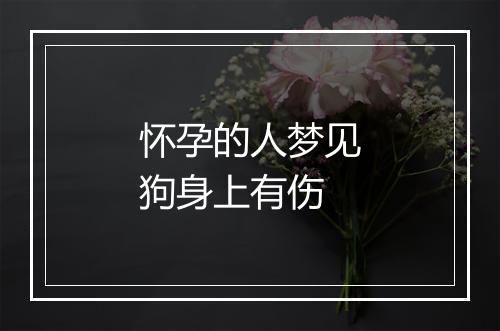 怀孕的人梦见狗身上有伤