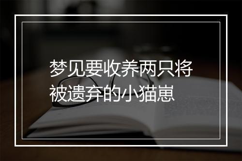 梦见要收养两只将被遗弃的小猫崽