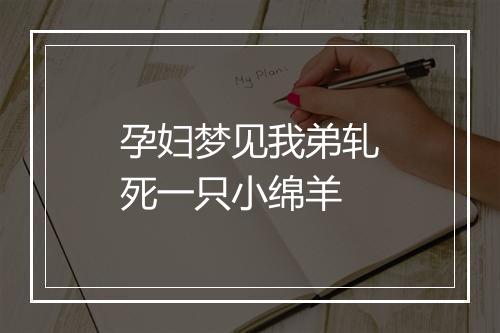 孕妇梦见我弟轧死一只小绵羊