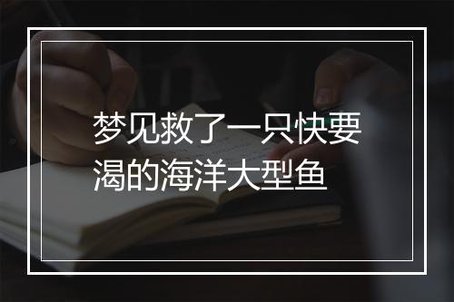 梦见救了一只快要渴的海洋大型鱼