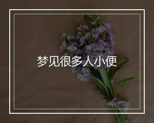 梦见很多人小便