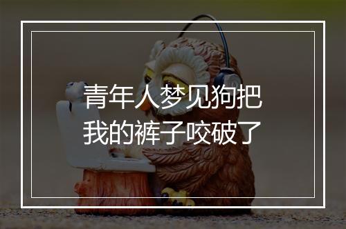 青年人梦见狗把我的裤子咬破了