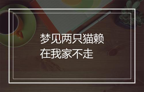 梦见两只猫赖在我家不走