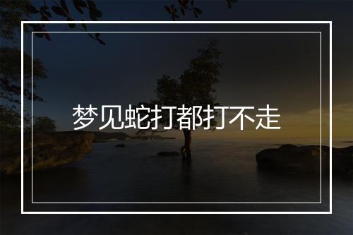 梦见蛇打都打不走