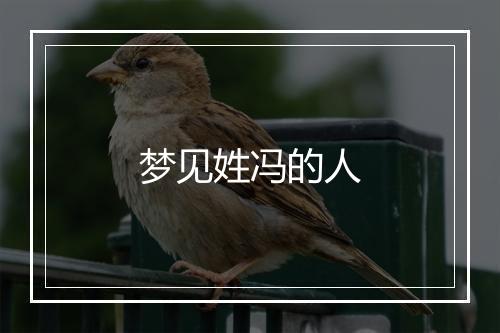 梦见姓冯的人