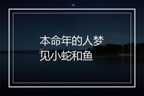 本命年的人梦见小蛇和鱼