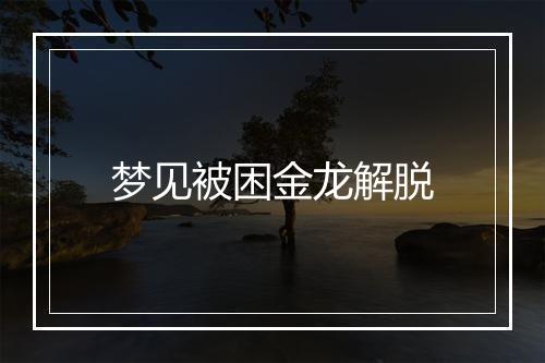 梦见被困金龙解脱