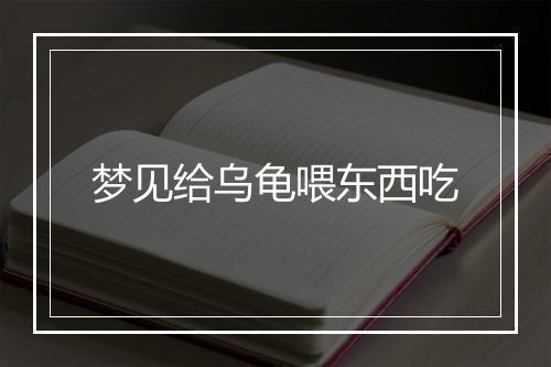 梦见给乌龟喂东西吃