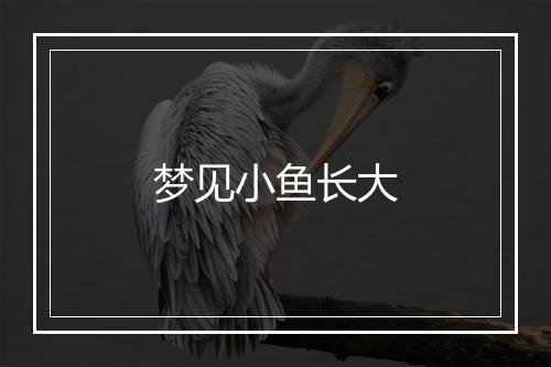 梦见小鱼长大